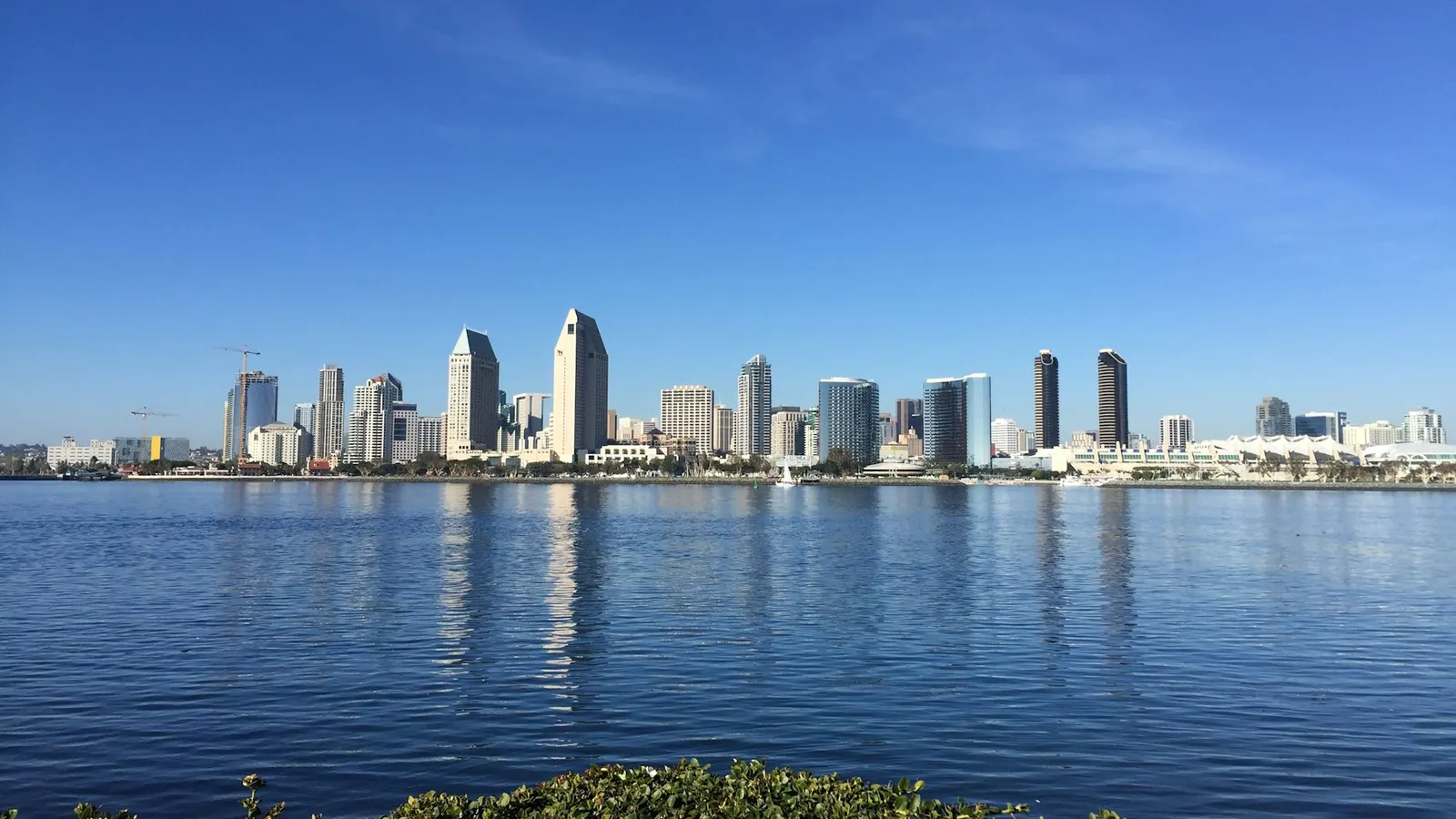 Best Healthcare AI Consulting Firms in San Diego (2026): The Short List